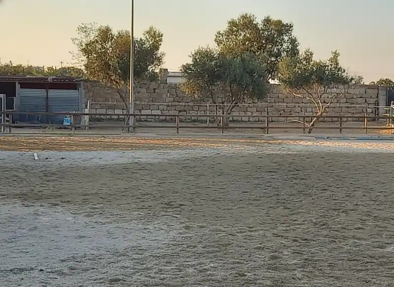 A.S.D. Eleventh Horse Club — Tricase