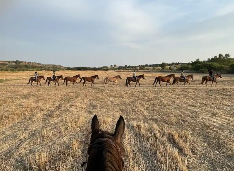 Cosmo Ranch — Palagianello