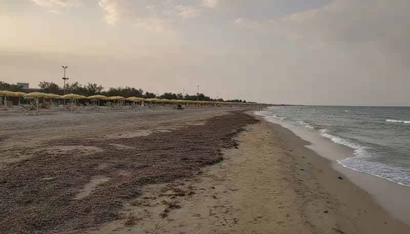 Idrovore Free Beach — Idrovore