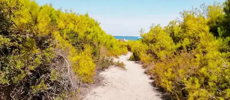 Parc naturel régional de Punta della Suina et Île de Sant'Andrea — Gallipoli