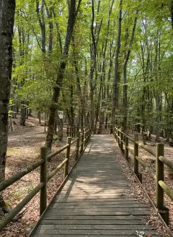 Naturschutzgebiet Sfilzi — Peschici