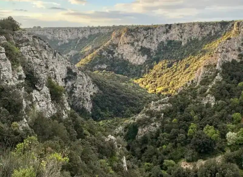 LIPU Gravina of Laterza — Laterza